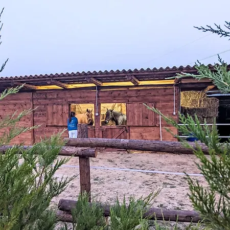 Giada By Interhome Appartement