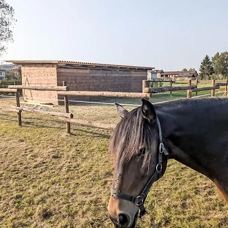 Appartement Giada By Interhome