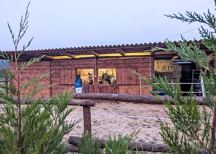 Giada By Interhome Apartment