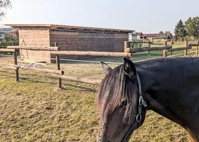 Appartement Giada By Interhome